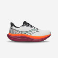 Saucony Triumph 23