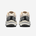Salomon XT-6