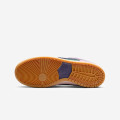 Nike SB Dunk Low Pro