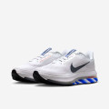 Nike Pegasus Premium