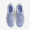 Nike ACG Pegasus Trail WMNS