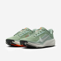 Nike ACG Pegasus Trail