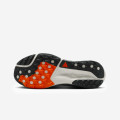 Nike ACG Pegasus Trail