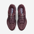 Nike Pegasus Premium WMNS