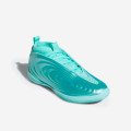adidas HARDEN VOLUME 10