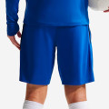 Nike FFF Strike Dri-FIT Mesh Football Shorts