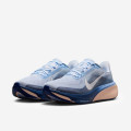 Nike Pegasus 42