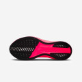 Nike Pegasus Plus 2