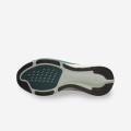 Nike Pegasus 42