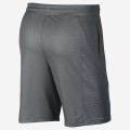 Nike HBR Short