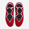 Nike LeBron 17 "Uptempo"