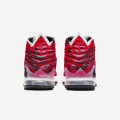 Nike LeBron 17 "Uptempo"