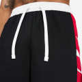 Nike Dri-FIT Short