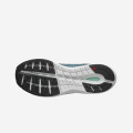 Salomon Sonic 4 Accelerate