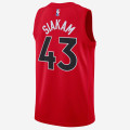 Nike Pascal Siakam Toronto Raptors Nike Icon Edition Jersey