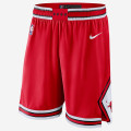 Nike NBA Chicago Bulls Icon Edition Short