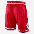 Nike NBA Chicago Bulls Icon Edition Short