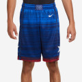 Nike Team USA Limited Edition Road Short