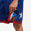 Nike Team USA Limited Edition Road Short