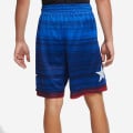 Nike Team USA Limited Edition Road Short