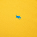Polo Ralph Lauren Hoodie