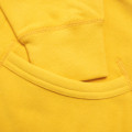 Polo Ralph Lauren Hoodie
