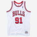 Mitchell & Ness Dennis Rodman Chicago Bulls Swingman Jersey