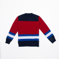 Polo Ralph Lauren Polo Sweat