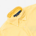 Polo Ralph Lauren Pony Shirt