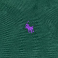 Polo Ralph Lauren Pony Shirt