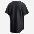 Nike MLB Chicago Cubs Fashion Edition Jersey