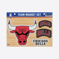 NBA Chicago Bulls Team Magnet