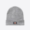 Dickies Gibsland Beanie