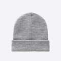 Dickies Gibsland Beanie