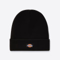 Dickies Gibsland Beanie