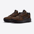 Nike ACG Lowcate