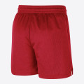 Nike NBA Chicago Bulls Shorts
