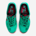 Nike Lebron 9 Low