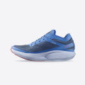 Salomon Phantasm