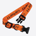 Carhartt WIP Script Dog Leash & Collar
