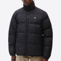 Dickies Waldenburg Jacket
