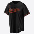 Nike MLB Minnesota Timberwolves Alternate Jersey