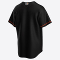 Nike MLB Minnesota Timberwolves Alternate Jersey