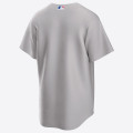 Nike MLB Los Angeles Dodgers Replica Alternate Road Jersey