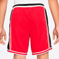 Nike Dri-FIT DNA+ Basketball Shorts