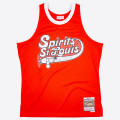 Mitchell & Ness ABA Spirits Of St. Louis 1975-76 Swingman Jersey