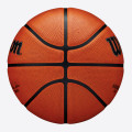 Wilson NBA Authentic Series Outdoor Basketball (Size 6)