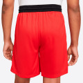 Nike Dri-FIT Starting 5 Basketball Shorts