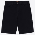 Dickies Duck Canvas Short