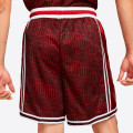 Nike DNA+ LeBron x Liverpool FC 8" Basketball Shorts